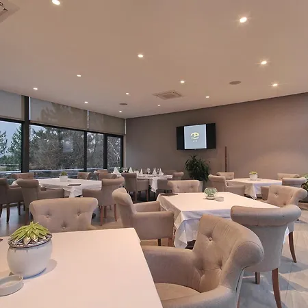 酒店 奥拉萨克酒店 3*